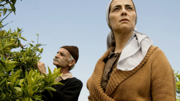 Photo du film Les citronniers [2008]