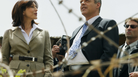 Photo du film Les citronniers [2008]