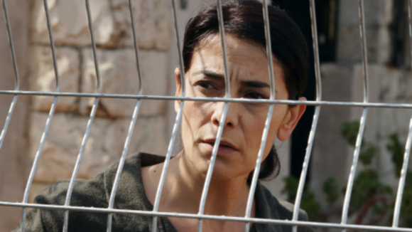 Photo du film Les citronniers [2008]