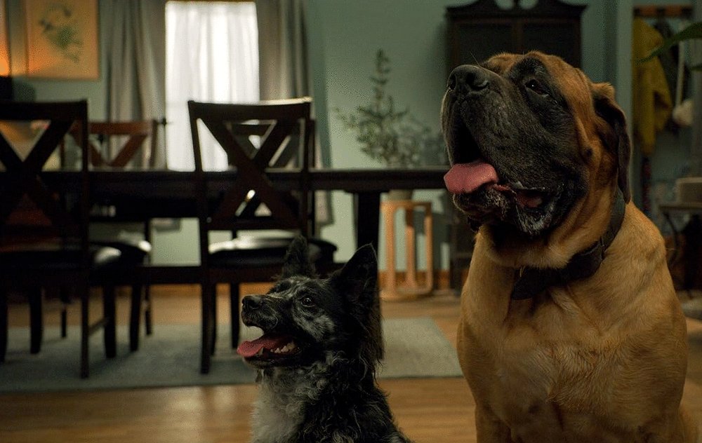 Photo from the movie Match Me If You Can