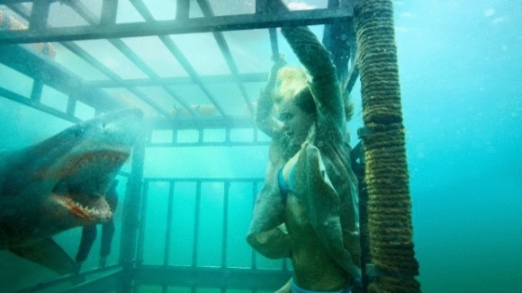 Photo from the movie Shark Night