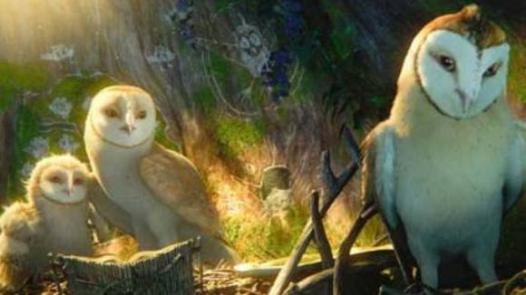 Photo from the movie Legend of the Guardians: The Owls of Ga'Hoole