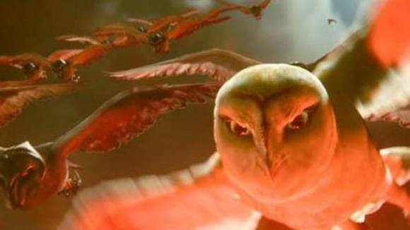 Photo from the movie Legend of the Guardians: The Owls of Ga'Hoole