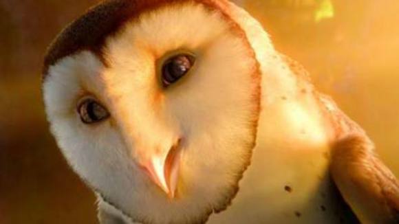 Photo from the movie Legend of the Guardians: The Owls of Ga'Hoole