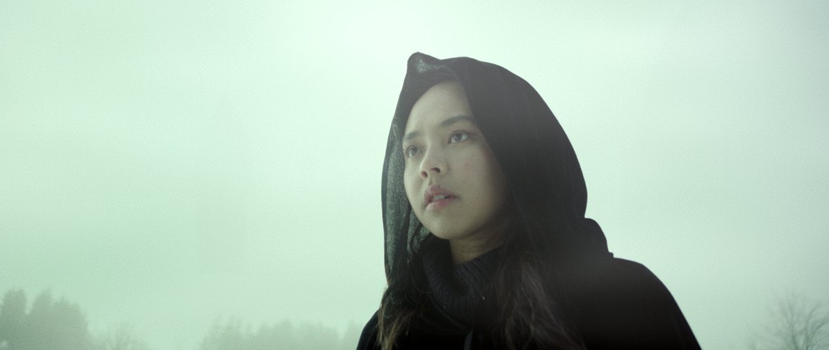 Photo from the movie The Protector