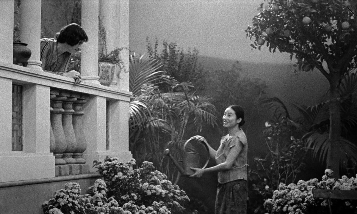 Photo du film Grand Tour [2024]