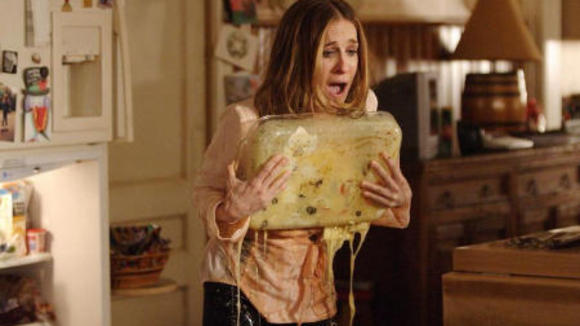 Photo from the movie The Family Stone