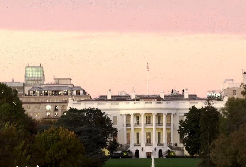 Photo from the movie Troll Storm