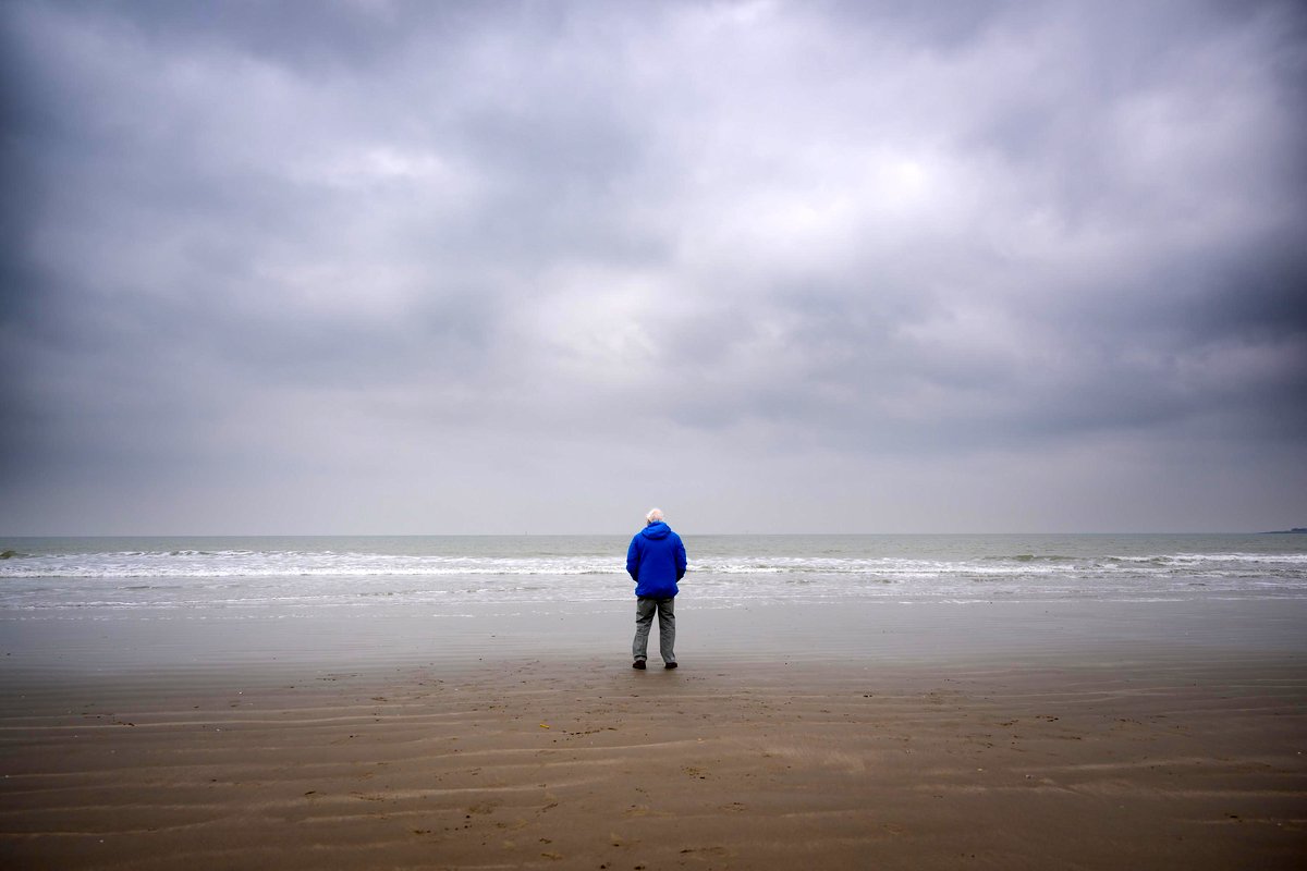 Photo from the movie Ocean with David Attenborough