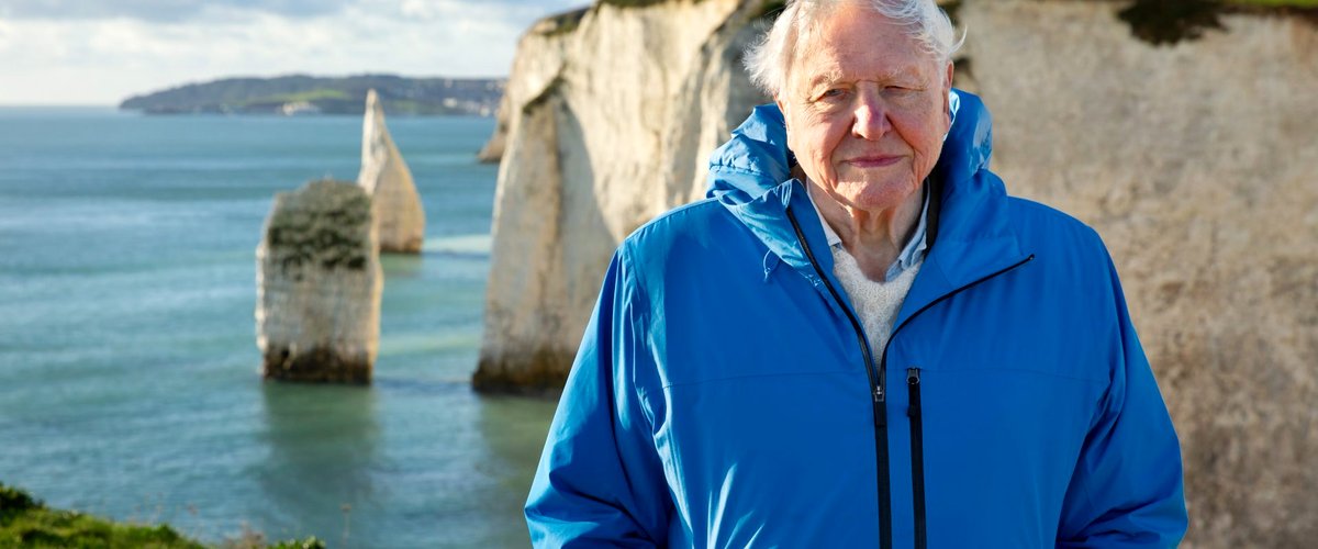 Photo from the movie Ocean with David Attenborough