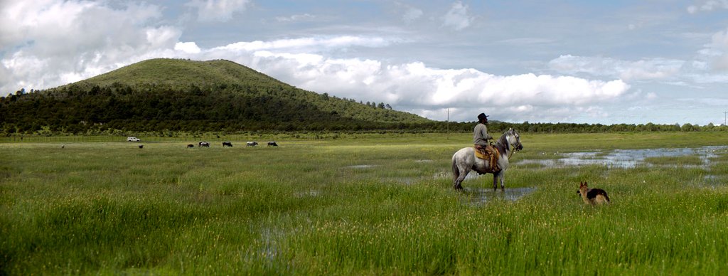 Photo from the movie Notre temps