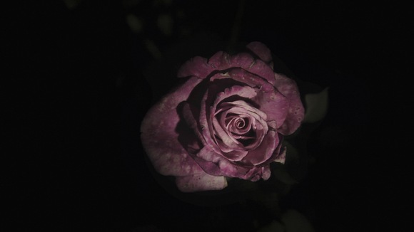 Photo from the movie The Meteor