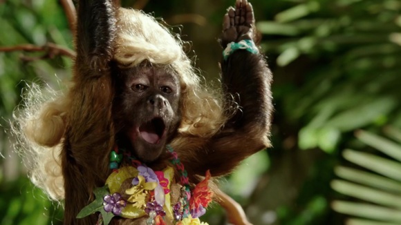 Photo from the movie Monkey Up