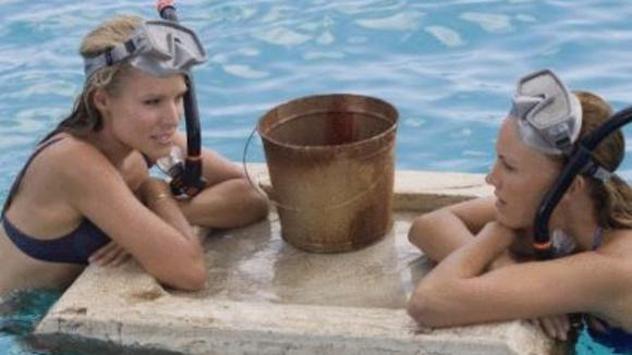 Photo from the movie Couples Retreat