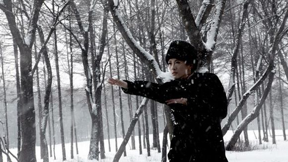 Photo from the movie The Grandmaster