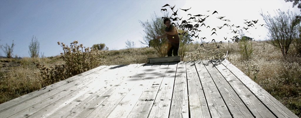 Photo from the movie The Lost Tree