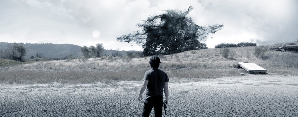 Photo from the movie The Lost Tree