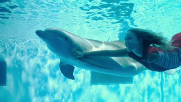 Photo from the movie Dolphin Tale 2