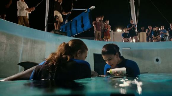 Photo from the movie Dolphin Tale 2