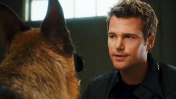 Photo from the movie Cats & Dogs: The Revenge of Kitty Galore