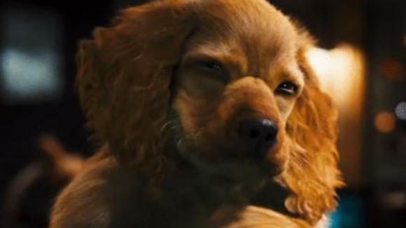 Photo from the movie Cats & Dogs: The Revenge of Kitty Galore