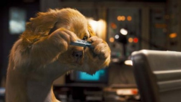 Photo from the movie Cats & Dogs: The Revenge of Kitty Galore