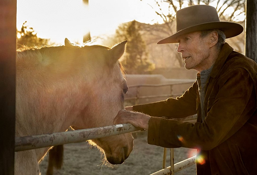 Photo from the movie Cry Macho