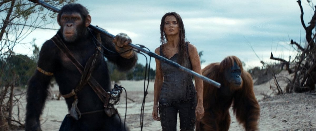 Photo from the movie Kingdom of the Planet of the Apes