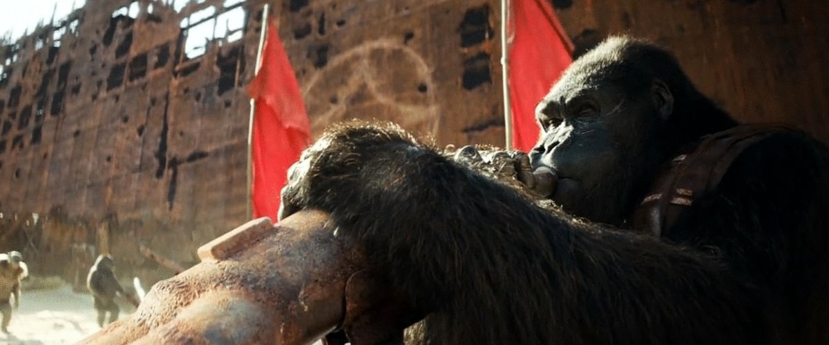 Photo from the movie Kingdom of the Planet of the Apes