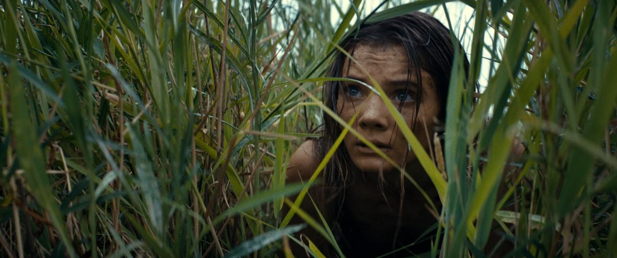 Photo from the movie Kingdom of the Planet of the Apes