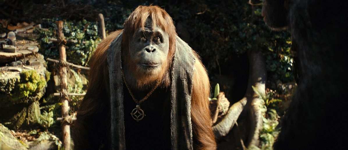 Photo from the movie Kingdom of the Planet of the Apes