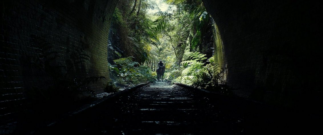 Photo from the movie Kingdom of the Planet of the Apes