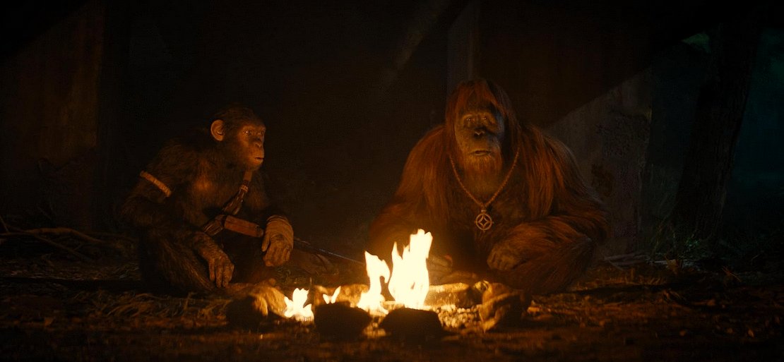 Photo from the movie Kingdom of the Planet of the Apes