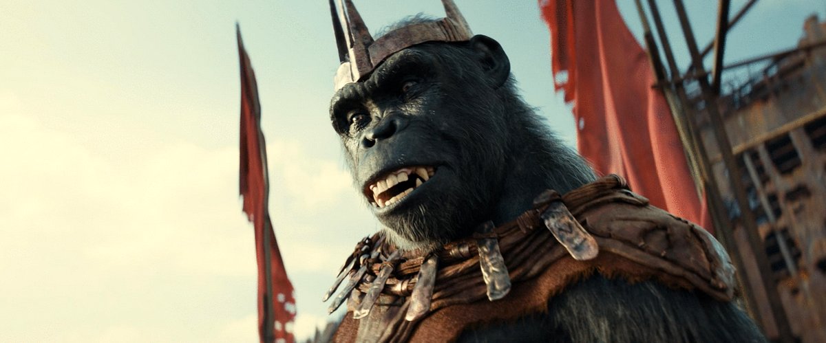 Photo from the movie Kingdom of the Planet of the Apes