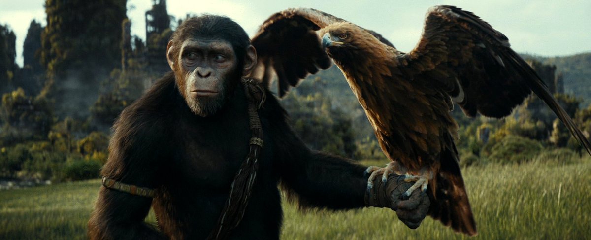 Photo from the movie Kingdom of the Planet of the Apes