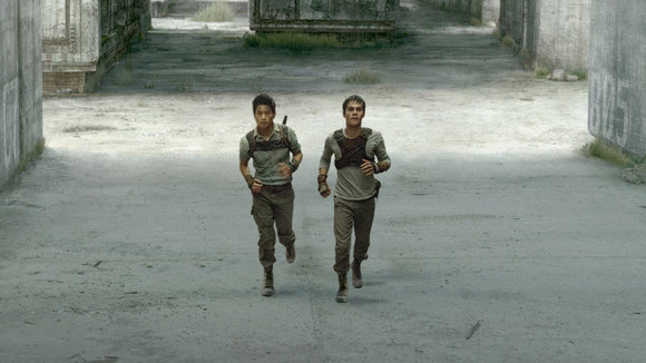 Photo from the movie The Maze Runner