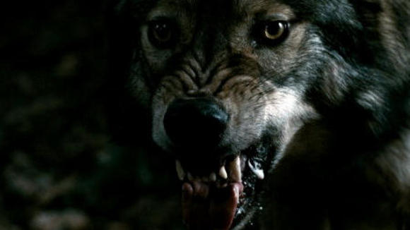 Photo from the movie Blood & Chocolate