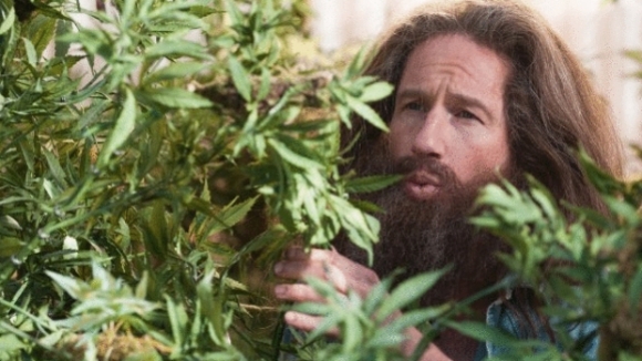 Photo from the movie Goats