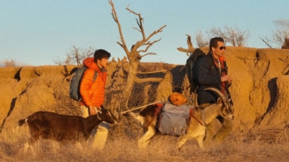 Photo from the movie Goats