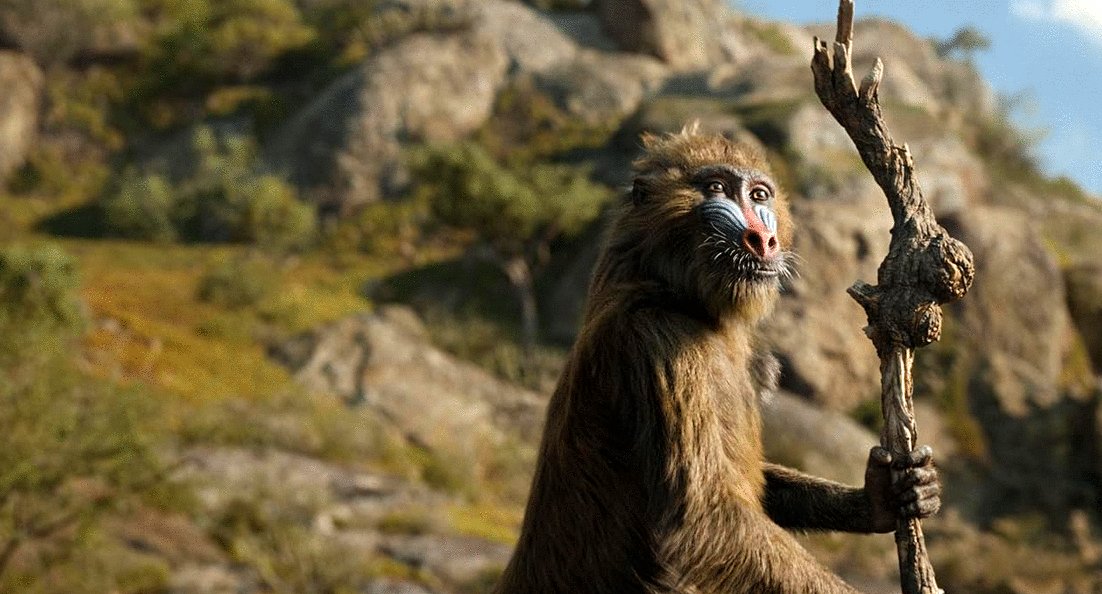 Photo from the movie Mufasa: Le Roi Lion