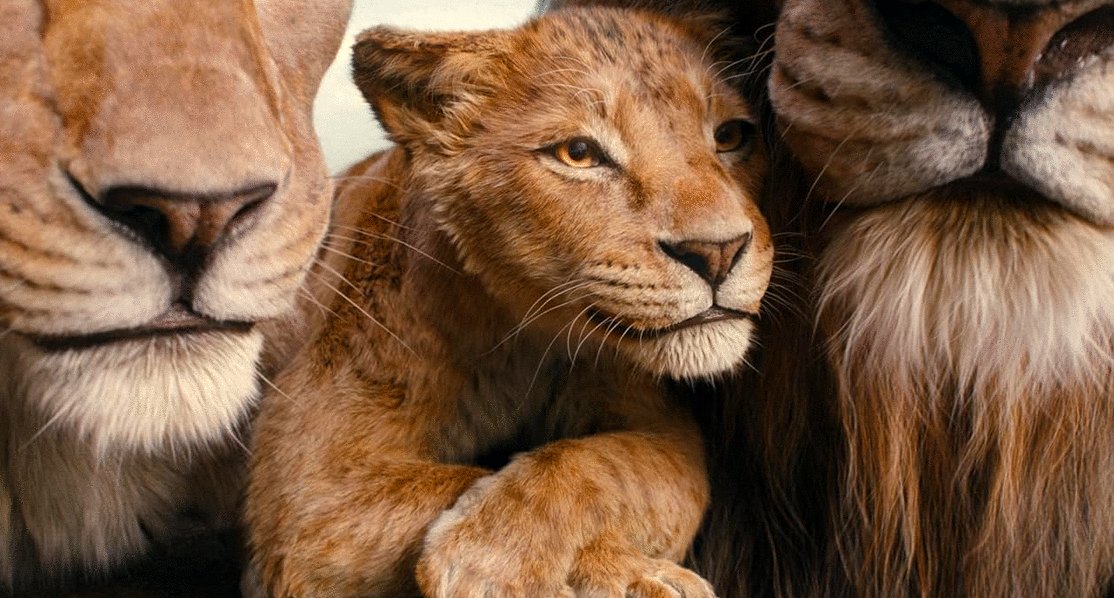 Photo from the movie Mufasa: Le Roi Lion