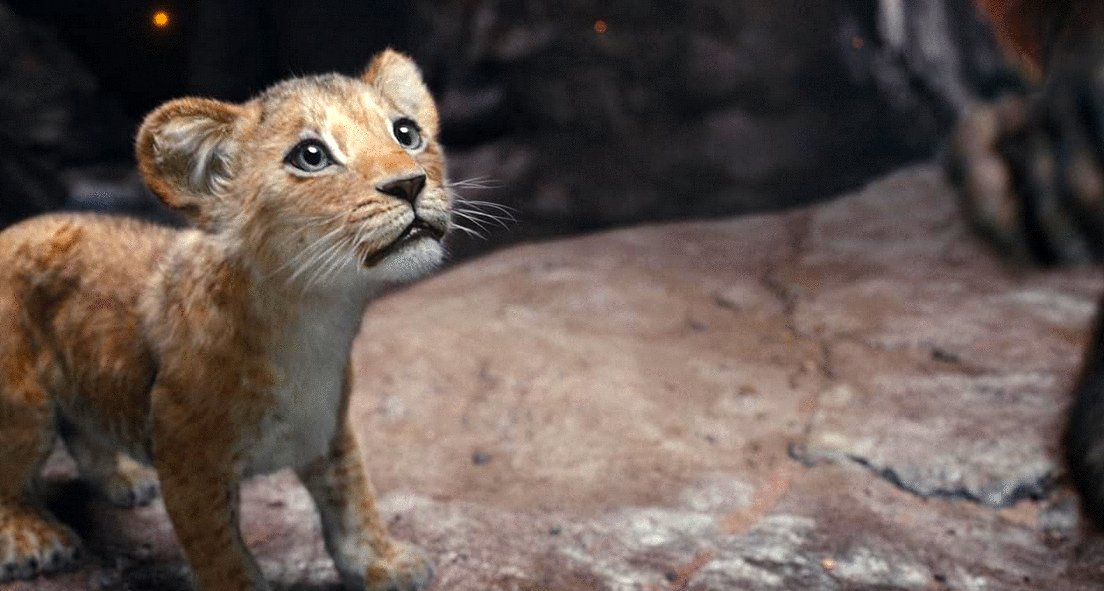 Photo from the movie Mufasa: Le Roi Lion