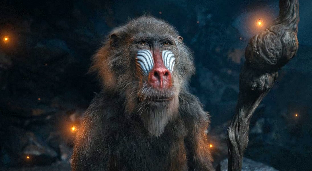 Photo from the movie Mufasa: Le Roi Lion