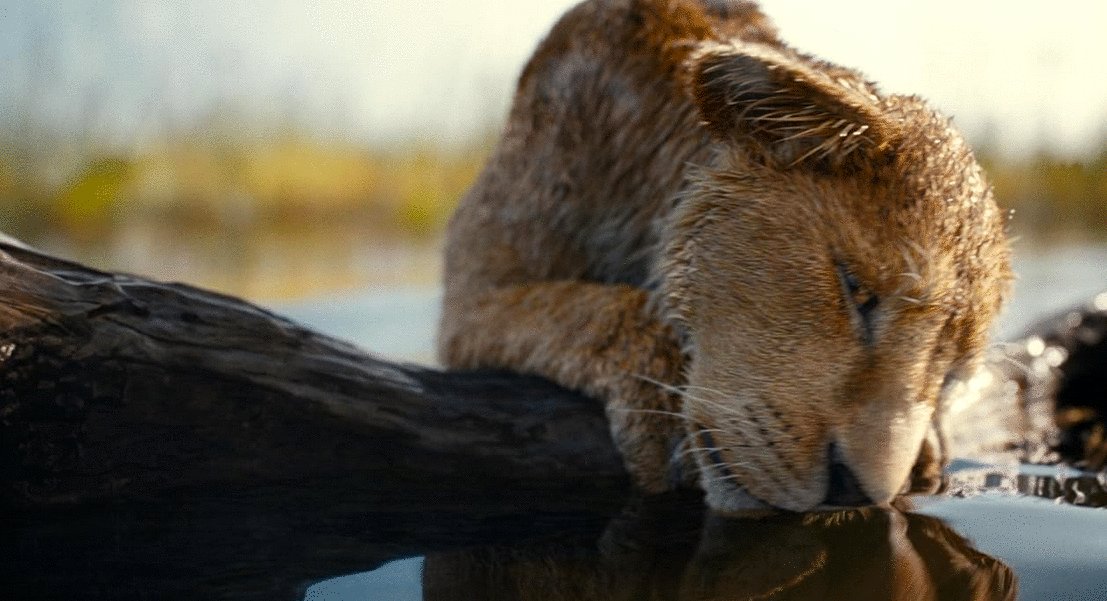 Photo from the movie Mufasa: Le Roi Lion