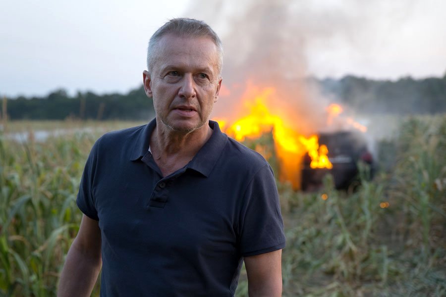 Photo from the movie Pitbull. Public Order