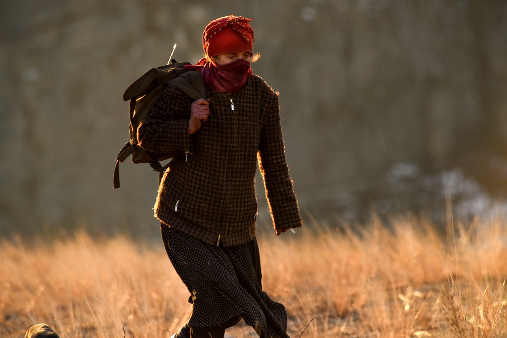 Photo from the movie Honeyland