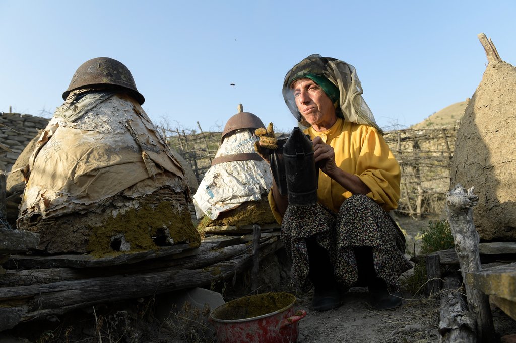 Photo from the movie Honeyland