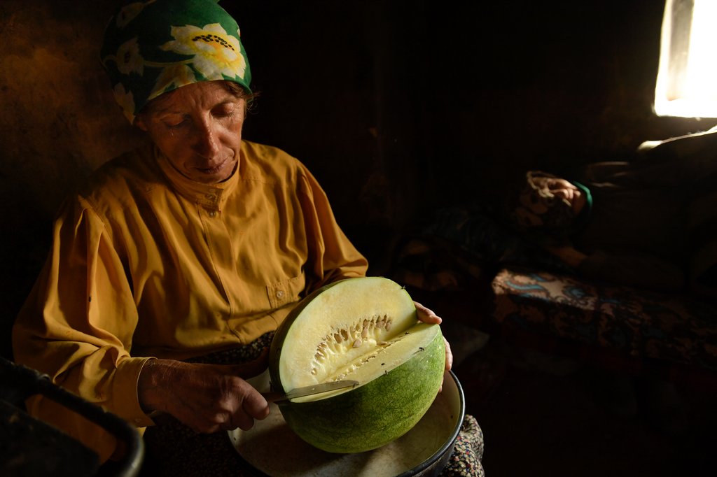 Photo from the movie Honeyland