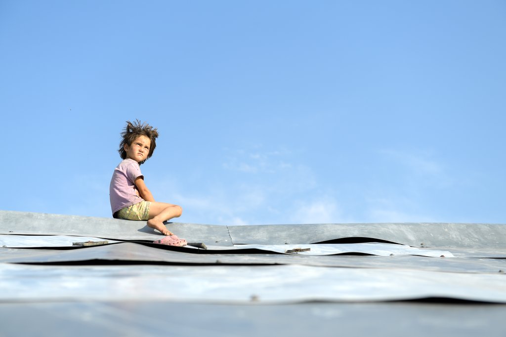 Photo from the movie Honeyland