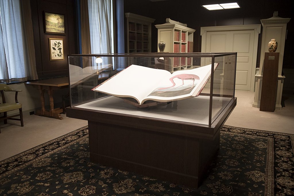 Photo from the movie American Animals